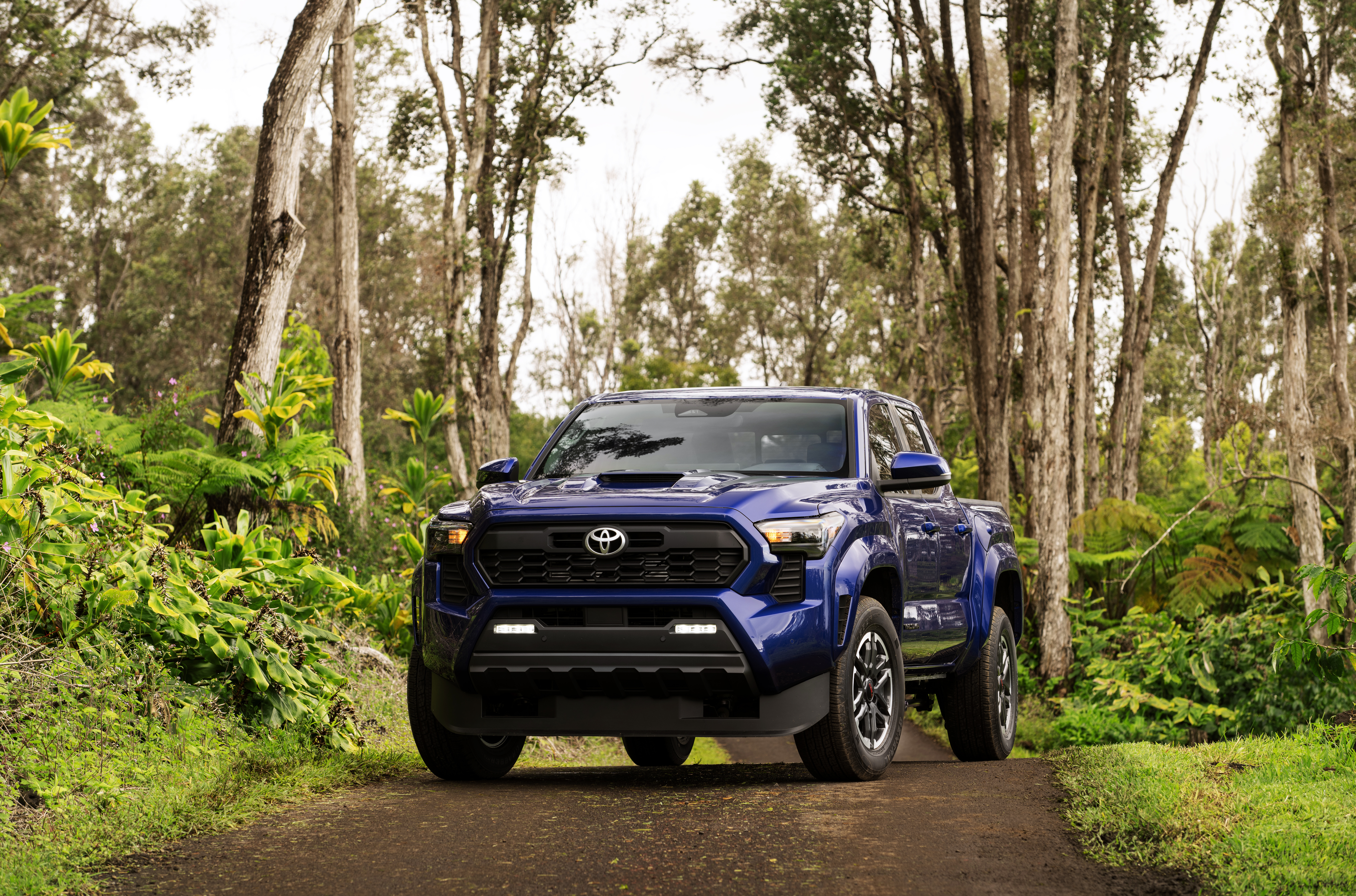 2026_Toyota_Tacoma_TRD_Sport_003